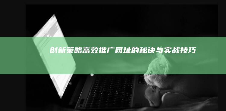 创新策略：高效推广网址的秘诀与实战技巧